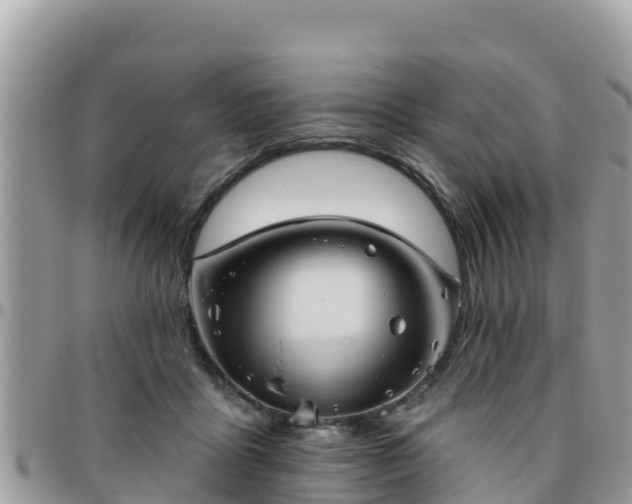 X0000095920411200801181422