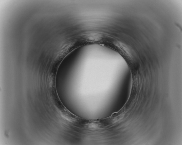 X0000095920412200801181422