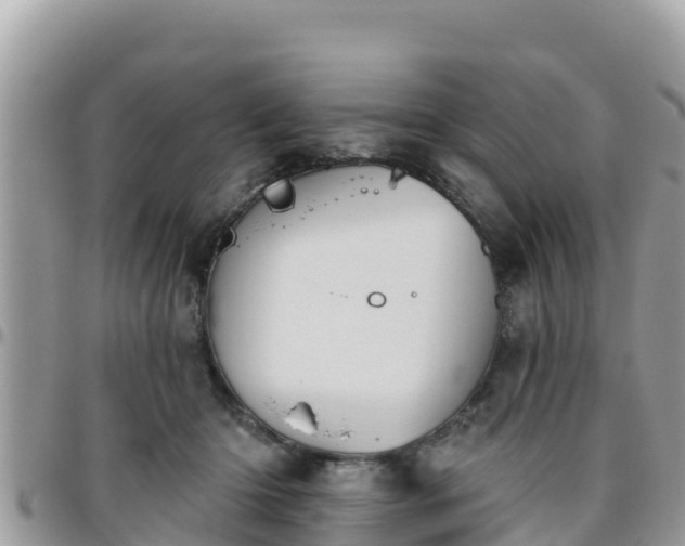 X0000095920414200801181422