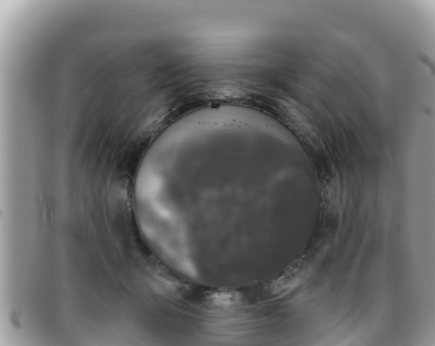 X0000095920415200801181422