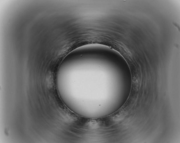 X0000095920416200801181422