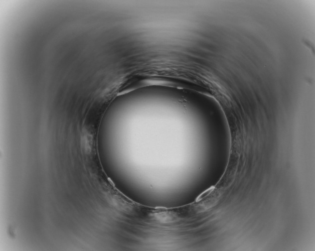 X0000095920417200801181422