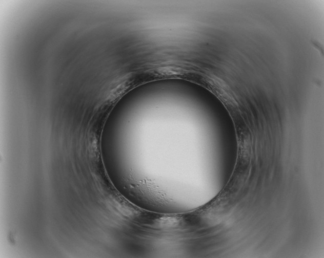 X0000095920418200801181422