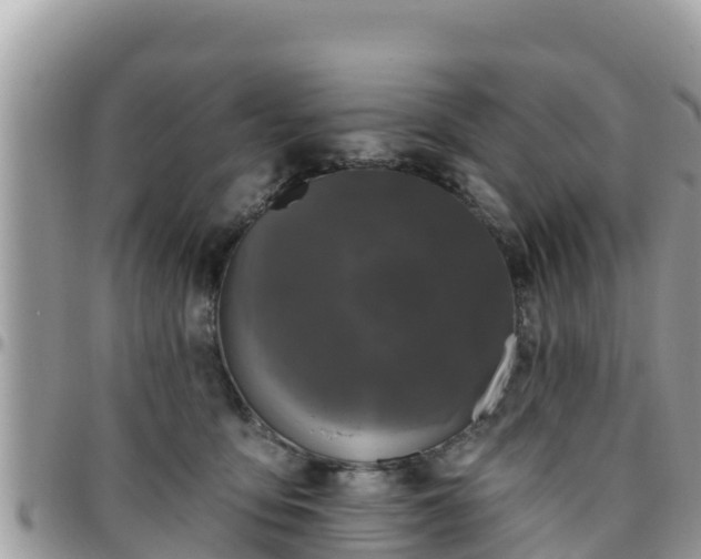 X0000095920419200801181422