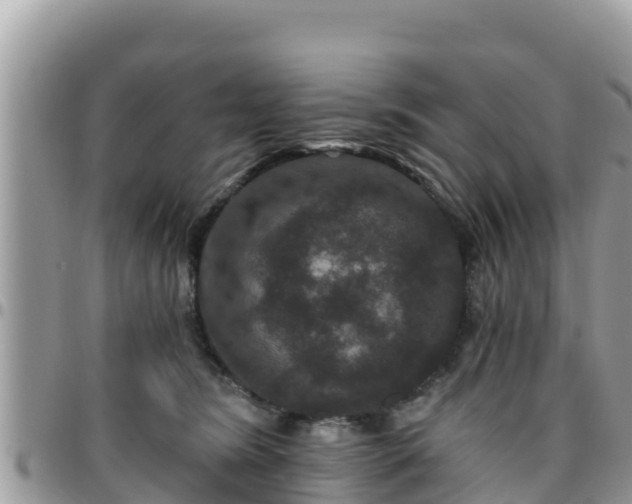 X0000095920420200801181422