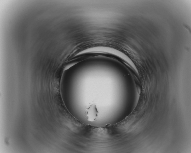 X0000095920421200801181422