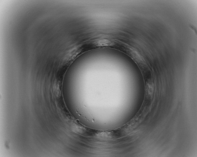 X0000095920422200801181422