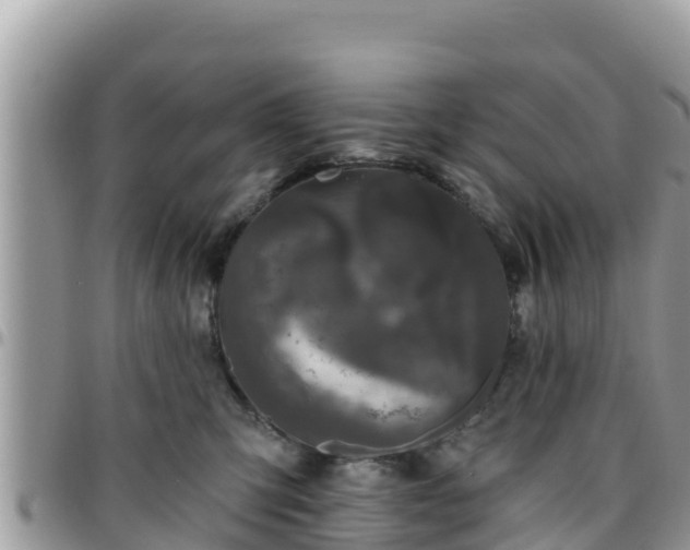 X0000095920423200801181422