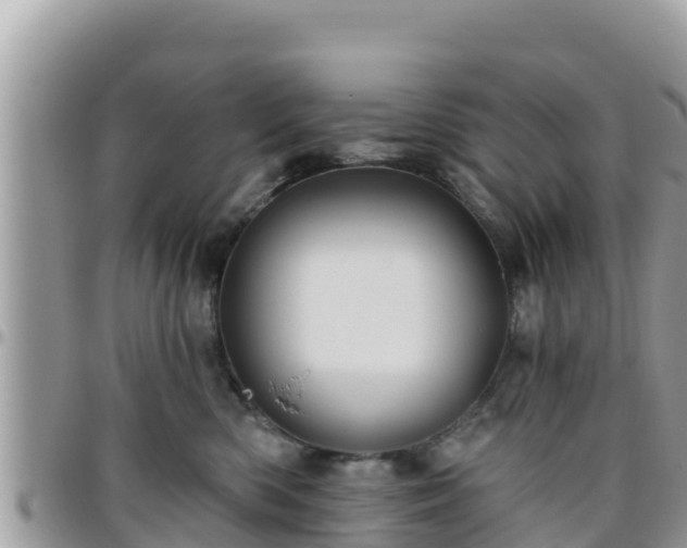 X0000095920426200801181421