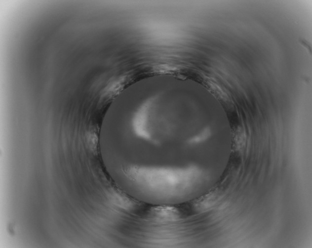 X0000095920427200801181421