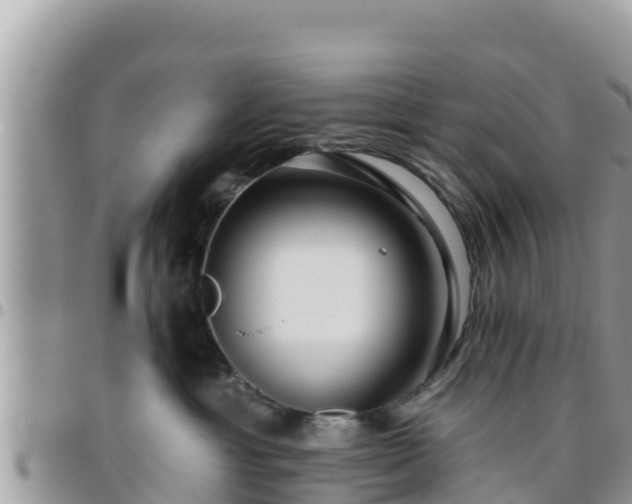 X0000095920429200801181421