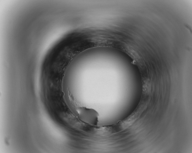 X0000095920430200801181421