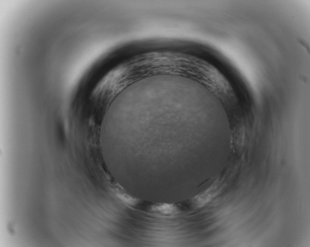 X0000095920431200801181421