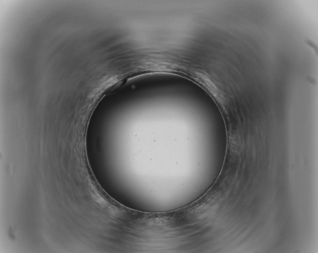 X0000095920433200801181421