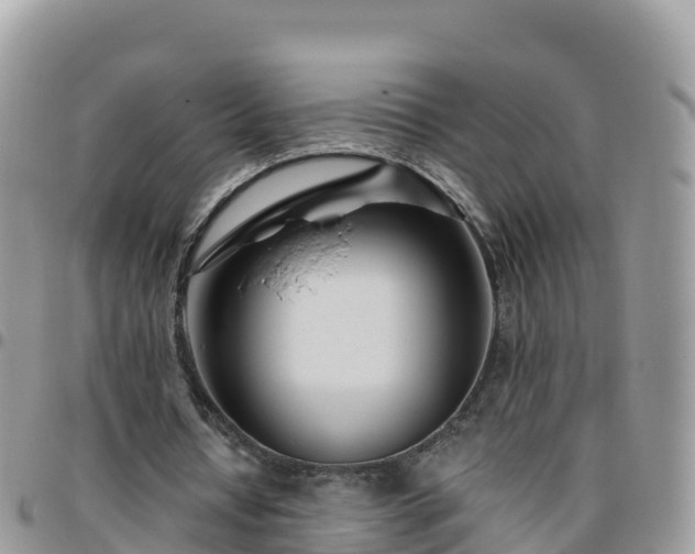 X0000095920434200801181421