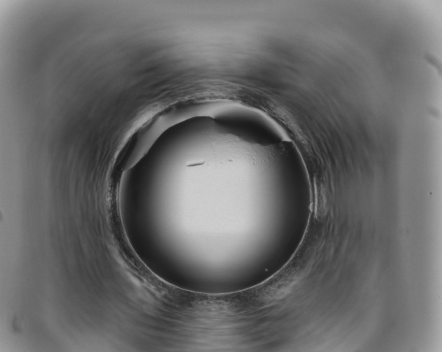 X0000095920435200801181421