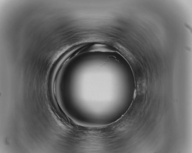 X0000095920436200801181421