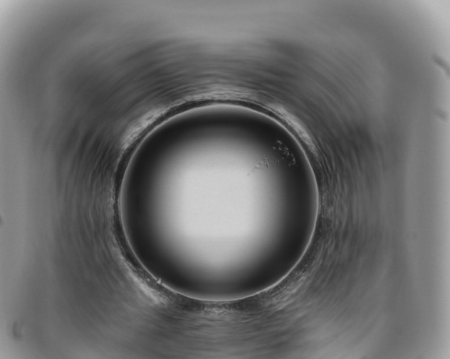 X0000095920437200801181421