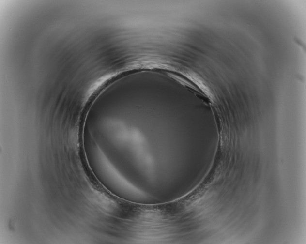 X0000095920438200801181421