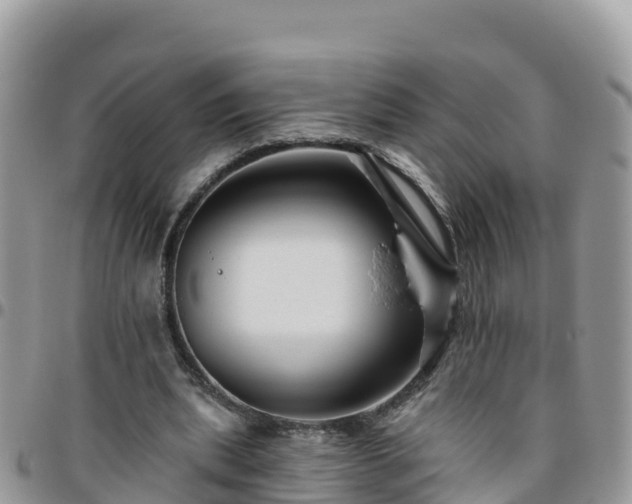 X0000095920439200801181421