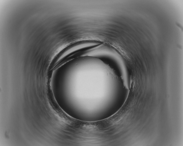 X0000095920440200801181421