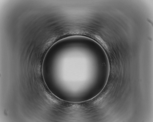 X0000095920441200801181421