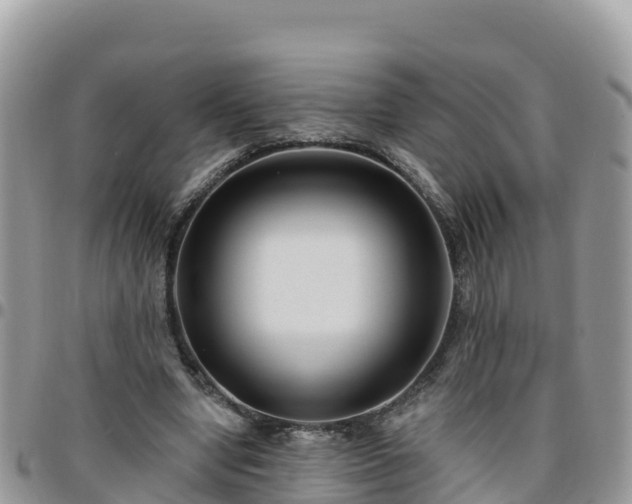 X0000095920442200801181421