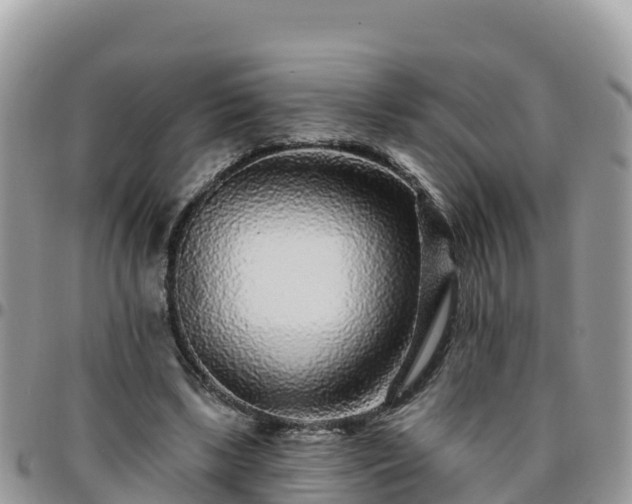 X0000095920443200801181421