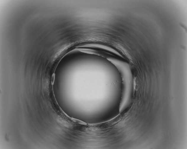 X0000095920444200801181421