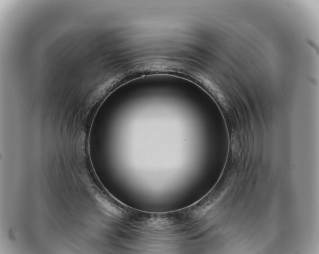 X0000095920445200801181421