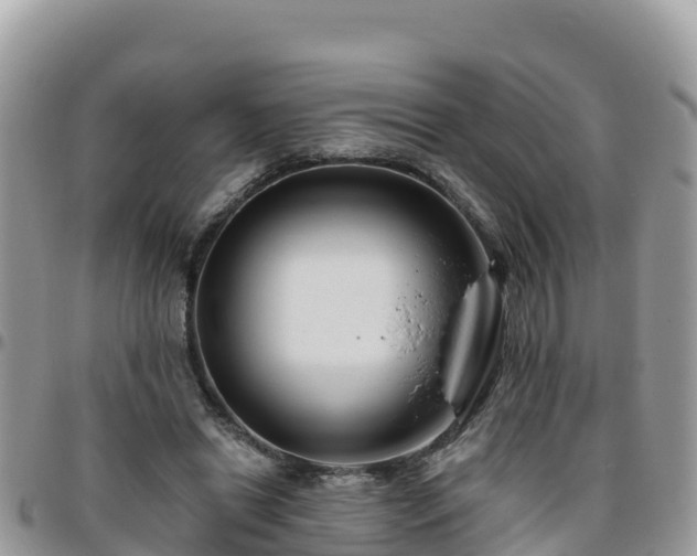 X0000095920446200801181421