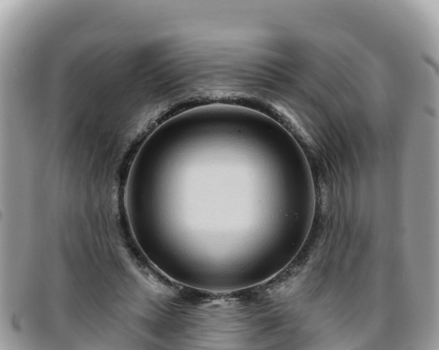 X0000095920447200801181421