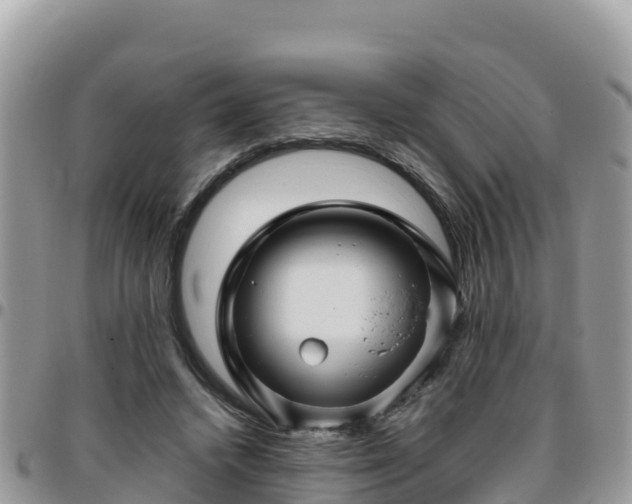 X0000095920448200801181421