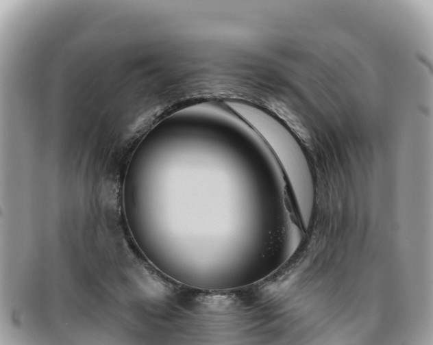 X0000095920449200801181421