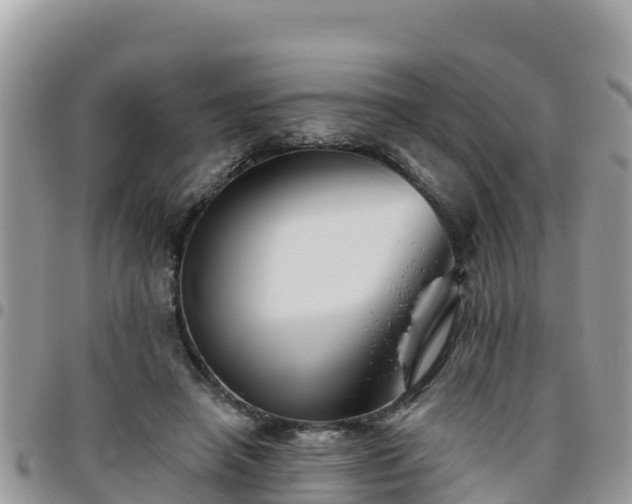 X0000095920450200801181421