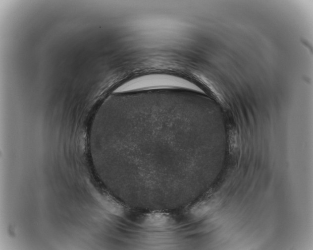 X0000095920451200801181421