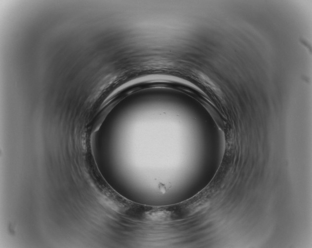 X0000095920452200801181421