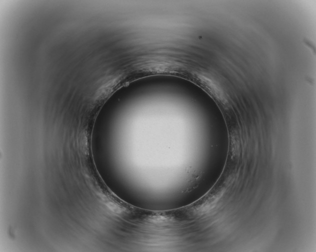 X0000095920453200801181421