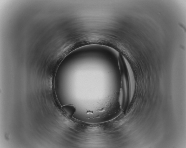 X0000095920454200801181421