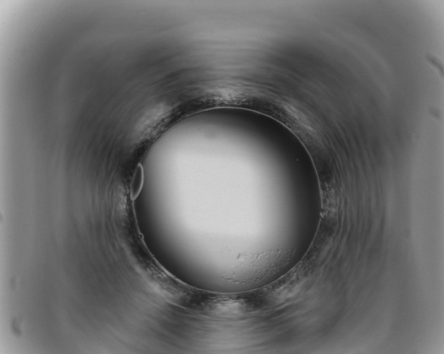 X0000095920456200801181421