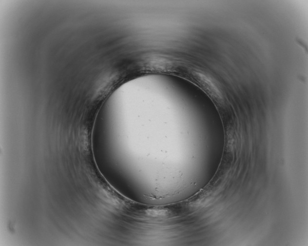 X0000095920457200801181421