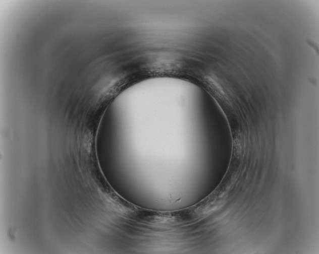 X0000095920458200801181421