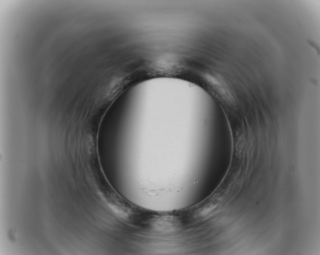 X0000095920459200801181421