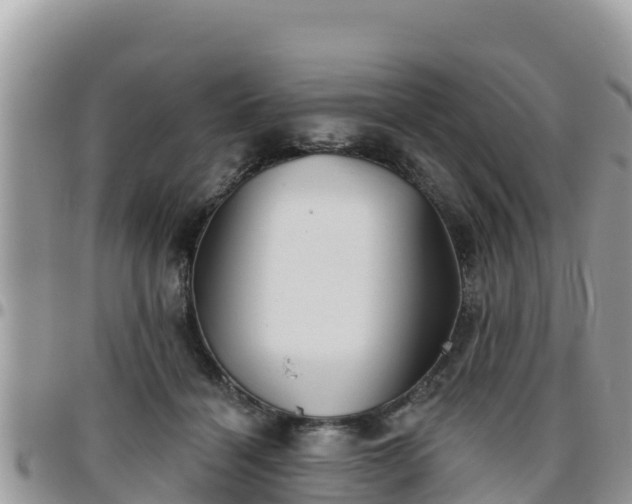 X0000095920460200801181421