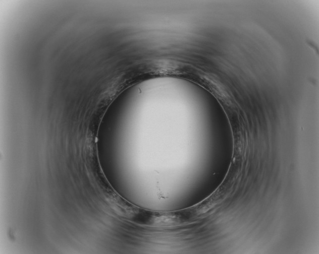 X0000095920461200801181421