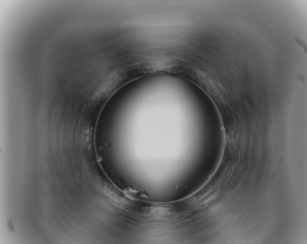 X0000095920462200801181421