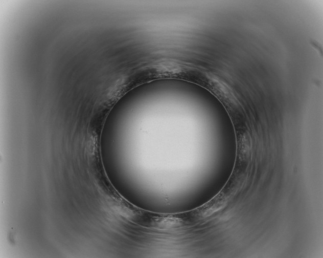 X0000095920463200801181421