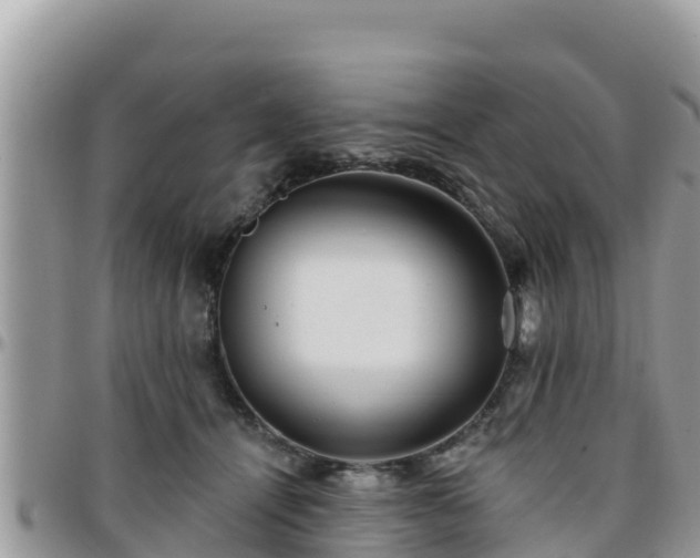 X0000095920464200801181421