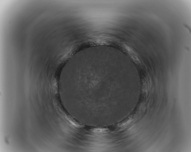 X0000095920465200801181421