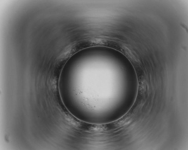 X0000095920466200801181421